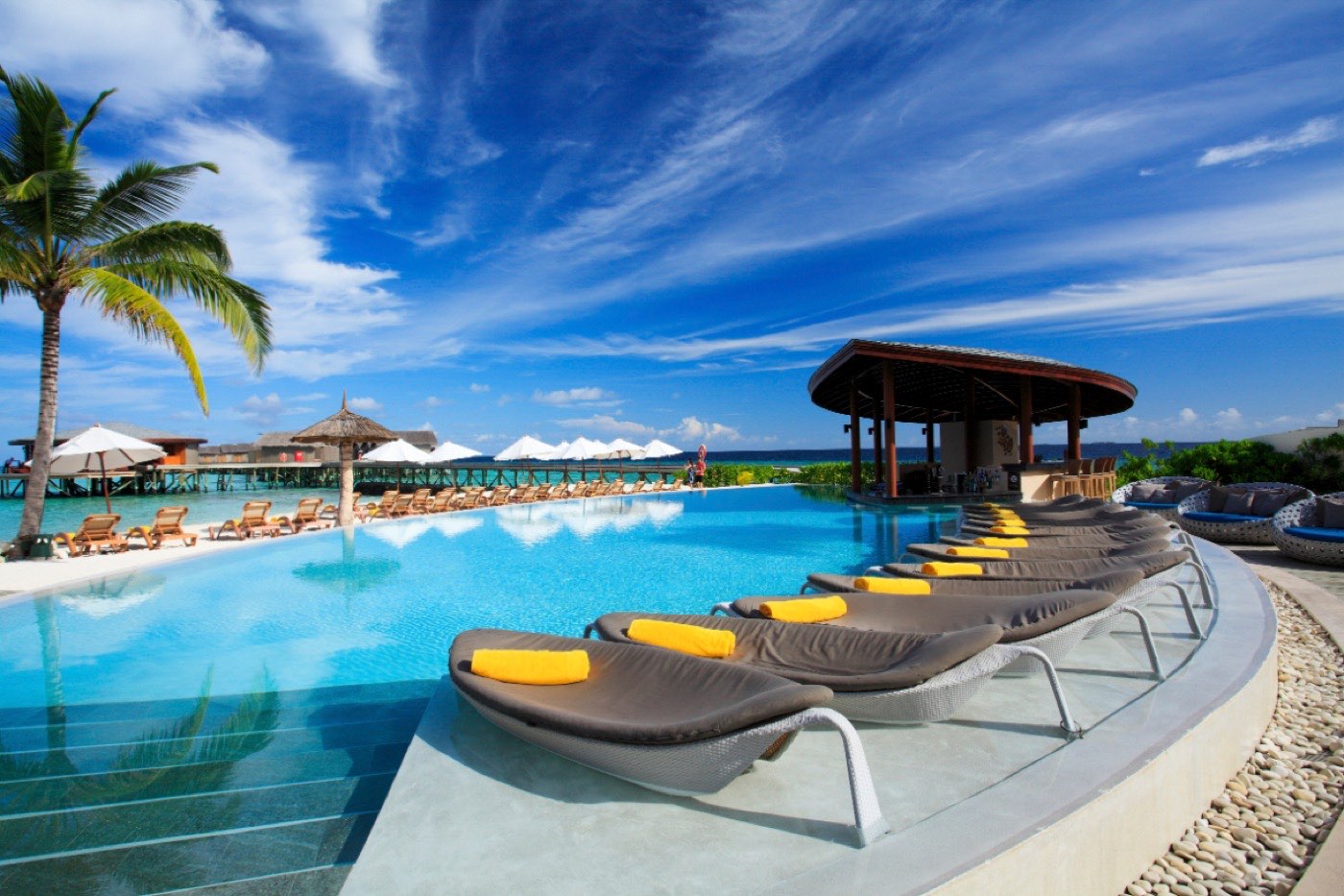 The resort's outdoor swimming pool with loungers, framed by palms and open to the ocean.